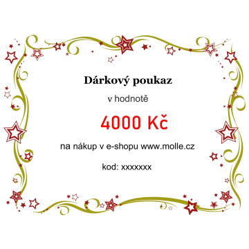 Elektronický dárkový poukaz v hodnotě 4000 Kč