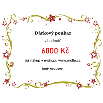 Elektronický dárkový poukaz v hodnotě 6000 Kč